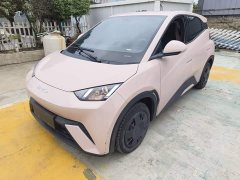 BYD Seagull 305km Vitality Edition - ფოტო 1