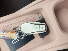 BYD Seagull 305km Vitality Edition - ფოტო 8
