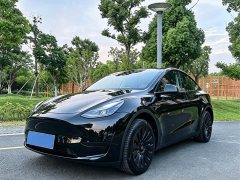 Tesla Model Y Rear-Wheel Drive - ფოტო 1