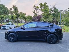 Tesla Model Y Rear-Wheel Drive - ფოტო 13
