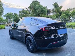 Tesla Model Y Rear-Wheel Drive - ფოტო 14