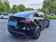 Tesla Model Y Rear-Wheel Drive - ფოტო 16