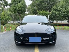 Tesla Model Y Rear-Wheel Drive - ფოტო 2