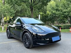 Tesla Model Y Rear-Wheel Drive - ფოტო 3