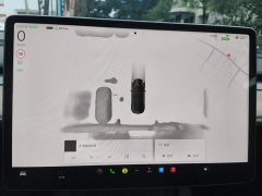 Tesla Model 3 Rear-Wheel Drive - photo 12