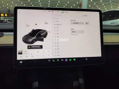 Tesla Model 3 Standard Range RWD Upgrade 3D6 - ფოტო 12