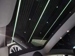 Tesla Model 3 Standard Range RWD Upgrade 3D6 - ფოტო 17