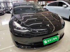 Tesla Model 3 Standard Range RWD Upgrade 3D6 - ფოტო 2