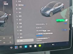 Tesla Model Y Rear-Wheel Drive - ფოტო 11