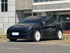 Tesla Model Y Long Range All-Wheel Drive - фото 1