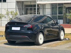 Tesla Model Y Long Range All-Wheel Drive - фото 10