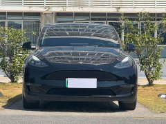 Tesla Model Y Long Range All-Wheel Drive - фото 2