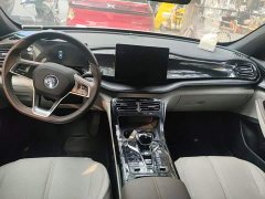BYD Qin PLUS Champion Edition DM-i 55KM Leading - photo 10