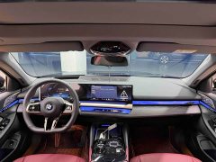 BMW 5 Series 530Li Luxury M Sport Package - photo 19