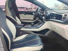 BYD Qin Plus DM-i 120KM Flagship - ფოტო 8