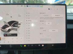 Tesla Model 3 Rear-Wheel Drive - ფოტო 20