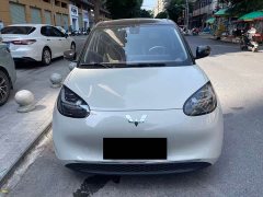 Wuling Binguo 333km Lingxi Connected Plus - ფოტო 1