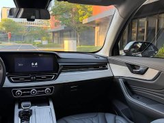 FAW Hongqi HS5 2.0T 2WD Banner Yue Pro Edition - фото 15