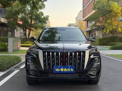 FAW Hongqi HS5 2.0T 2WD Banner Yue Pro Edition - фото 2