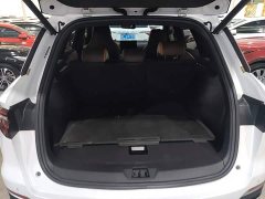 BYD Song Pro New Energy DM-i 51km Premium - photo 18