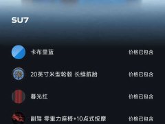 Xiaomi SU7 Rear-Wheel Drive Long Range Smart Driving Edition - ფოტო 11