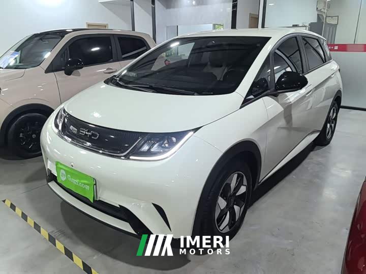 BYD Dolphin Glory Edition 420km Freedom Version