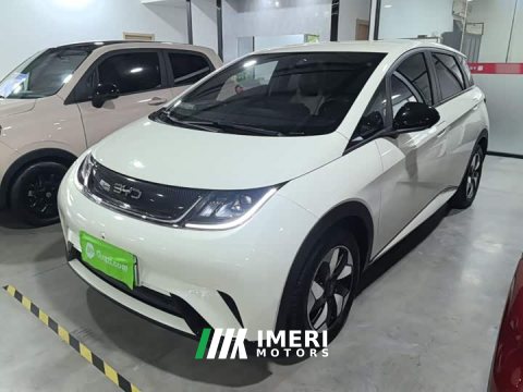 2024 BYD Dolphin Glory Edition 420km Freedom Version - автомобиль из Китая