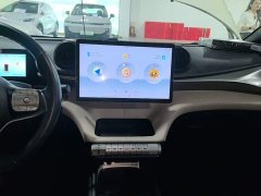 BYD Dolphin Glory Edition 420km Freedom Version - ფოტო 12