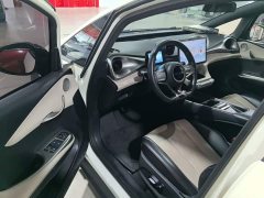 BYD Dolphin Glory Edition 420km Freedom Version - ფოტო 15