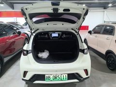 BYD Dolphin Glory Edition 420km Freedom Version - ფოტო 18