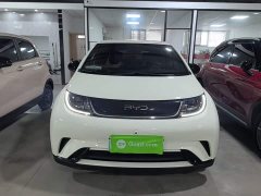 BYD Dolphin Glory Edition 420km Freedom Version - ფოტო 2