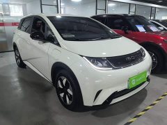 BYD Dolphin Glory Edition 420km Freedom Version - ფოტო 3