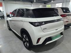 BYD Dolphin Glory Edition 420km Freedom Version - ფოტო 4
