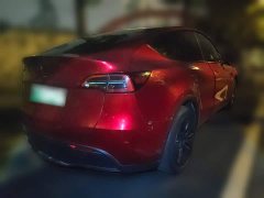 Tesla Model Y Rear-Wheel Drive - фото 6