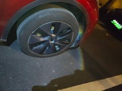 Tesla Model Y Rear-Wheel Drive - фото 8