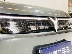 Voyah Lantu FREE AWD Qiankun Edition - photo 4