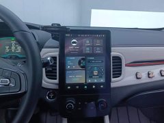 Chery Ant Facelift Youth Edition 251km True Love Edition 25.05kWh - photo 12