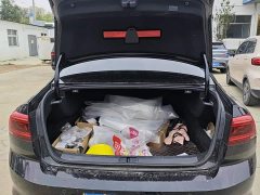 Volkswagen Magotan 330TSI DSG Advance - ფოტო 4