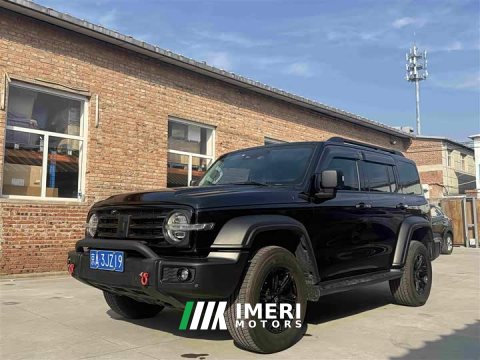 2023 Tank 300 2.0T Conqueror - car from China