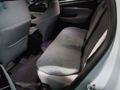 Buick E5 Premium Standard Range Edition - ფოტო 16