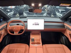 Nio Lerado L60 60kWh Rear-Wheel Drive - photo 12