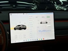 Nio Lerado L60 60kWh Rear-Wheel Drive - photo 15