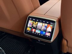 Nio Lerado L60 60kWh Rear-Wheel Drive - photo 16