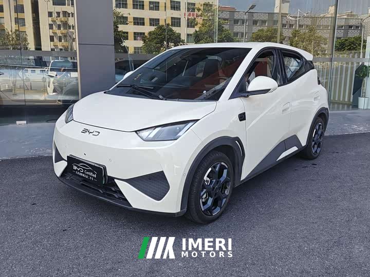 BYD Seagull Smart Drive 305km Vitality Edition - ავტომობილი ჩინეთიდან