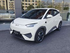 BYD Seagull Smart Drive 305km Vitality Edition - ფოტო 1