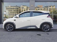 BYD Seagull Smart Drive 305km Vitality Edition - ფოტო 16