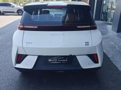 BYD Seagull Smart Drive 305km Vitality Edition - ფოტო 19