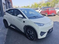 BYD Seagull Smart Drive 305km Vitality Edition - ფოტო 3