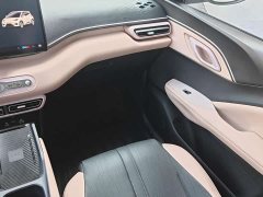 BYD Seagull Smart Drive 305km Vitality Edition - ფოტო 8