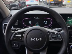 Kia Situs 1.5L CVT Luxury - ფოტო 11